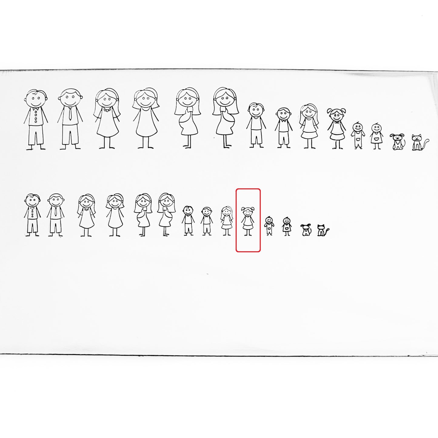 Stick Families