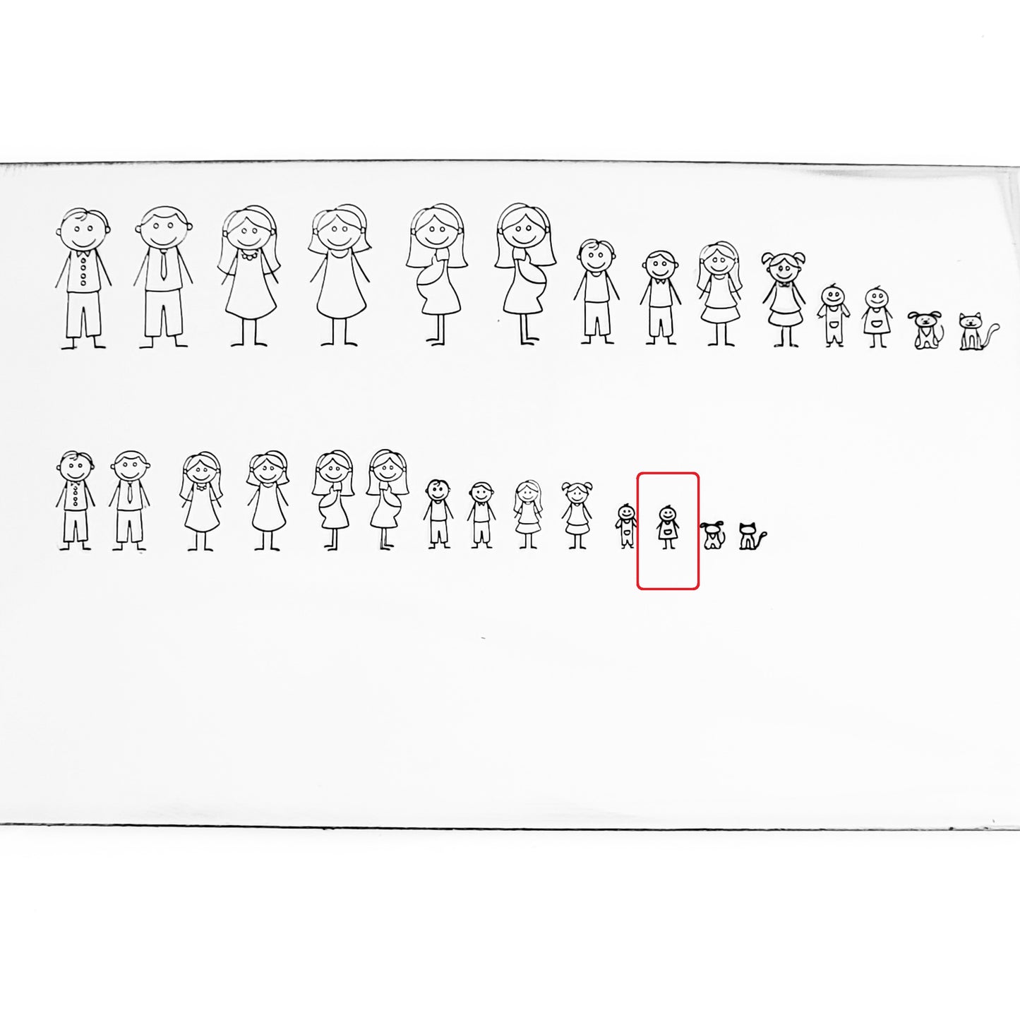 Stick Families