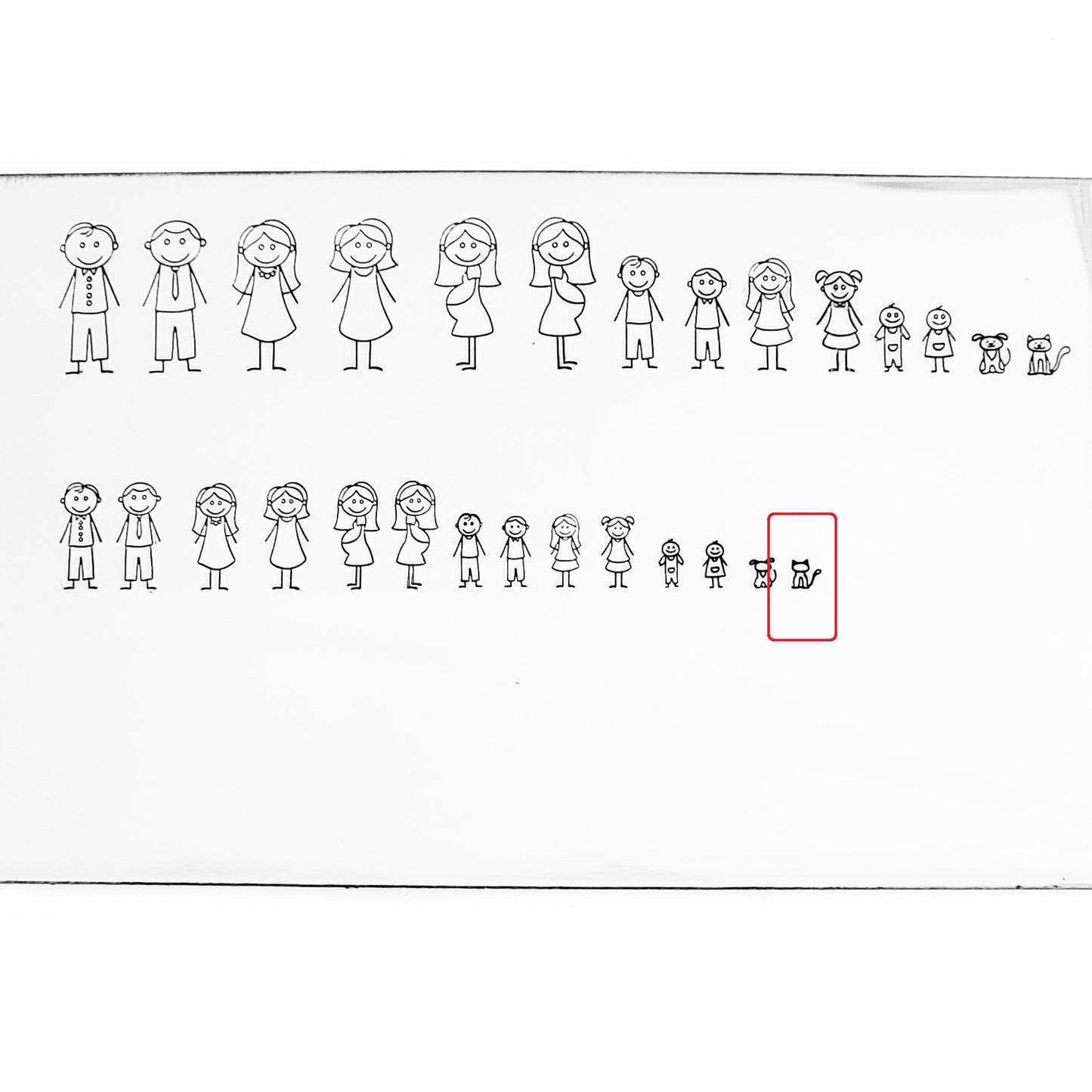 Stick Families