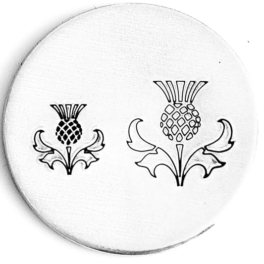 Scottish Thistle